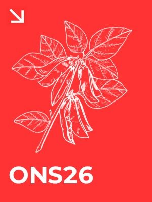 ONS26