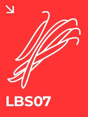 LBS07